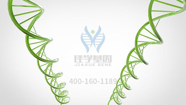 【佳學(xué)基因檢測(cè)】小頭畸形骨發(fā)育不全原始侏儒癥基因解碼、<a href=http://jinzhounet.cn/tk/jiema/cexujishu/2021/31933.html>基因檢測(cè)</a>報(bào)告時(shí)間是一樣的嗎？