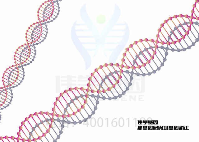 【佳學基因檢測】如何做<font color='red'><font color='red'>Alagille</font></font>綜合征基因解碼、基因檢測？