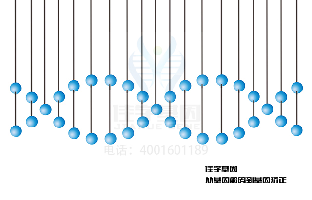 【佳學(xué)基因檢測】如何區(qū)分常見變異性免疫缺陷隱性遺傳基因解碼、<a  data-cke-saved-href=http://jinzhounet.cn/tk/jiema/cexujishu/2021/31933.html href=http://jinzhounet.cn/tk/jiema/cexujishu/2021/31933.html>基因檢測</a>？