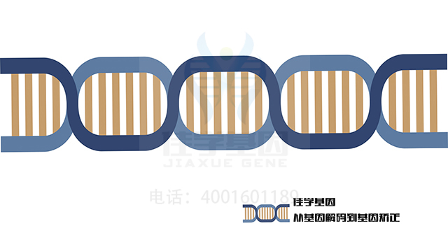 左旋甲炔諾酮藥物<a href=http://jinzhounet.cn/tk/jiema/cexujishu/2021/31933.html>基因檢測</a>