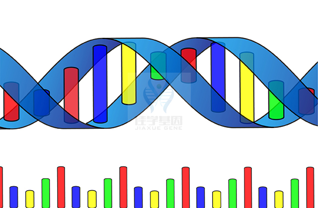 【佳學(xué)基因檢測(cè)】CHILD綜合征基因解碼、<a  data-cke-saved-href=http://jinzhounet.cn/tk/jiema/cexujishu/2021/31933.html href=http://jinzhounet.cn/tk/jiema/cexujishu/2021/31933.html>基因檢測(cè)</a>有什么用？