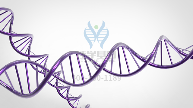 【佳學(xué)基因檢測】做賴氨酸尿性蛋白耐受不良基因解碼、基因檢測的費用是多少