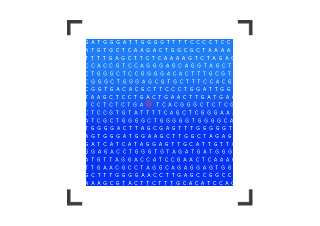 【佳學基因檢測】Acrocallosal綜合征基因解碼、<a href=http://jinzhounet.cn/tk/jiema/cexujishu/2021/31933.html>基因檢測</a>報告時間是一樣的嗎？