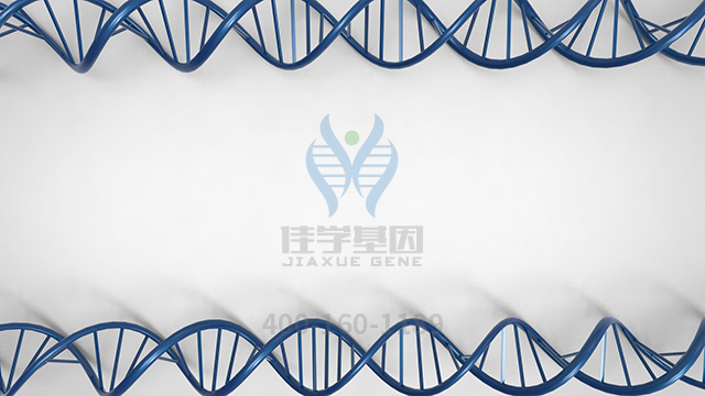 【佳學(xué)基因檢測】粘多糖貯積癥MPS-III-D型基因解碼、<a href=http://jinzhounet.cn/tk/jiema/cexujishu/2021/31933.html>基因檢測</a>的報(bào)告看得懂嗎？