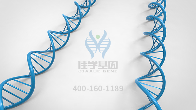 <b>【佳學(xué)基因檢測】原發(fā)性限局性皮膚淀粉樣變1型基因解碼、基因檢測報告時間</b>