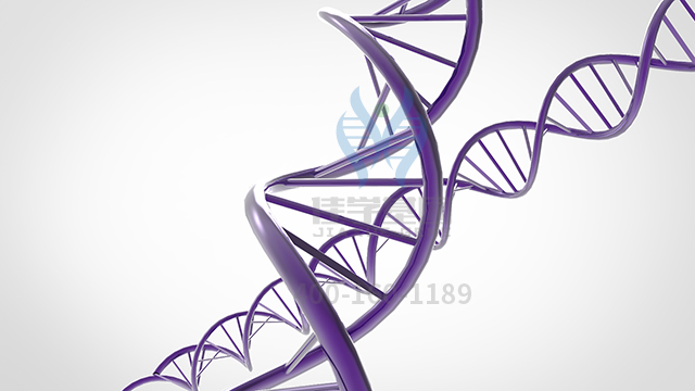 【佳學基因檢測】做胃腺癌基因解碼、<a href=http://jinzhounet.cn/tk/jiema/cexujishu/2021/31933.html>基因檢測</a>需要多少錢？
