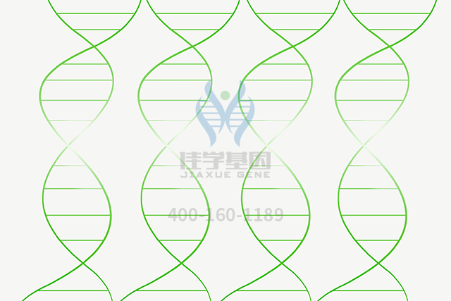 【佳學(xué)基因檢測】<font color='red'><font color='red'>Crigler-Najjar</font></font>綜合征基因解碼、基因檢測的樣品有區(qū)別嗎？