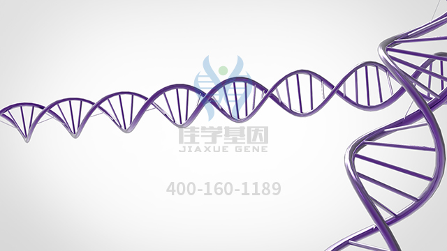 【佳學(xué)基因檢測】做甲狀腺發(fā)育不全基因解碼、<a href=http://jinzhounet.cn/tk/jiema/cexujishu/2021/31933.html>基因檢測</a>方便嗎？