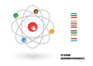 <b>【佳學基因檢測】什么人要做CLPB缺陷、3-甲基戊烯二酸尿癥7型基因解碼、基因</b>