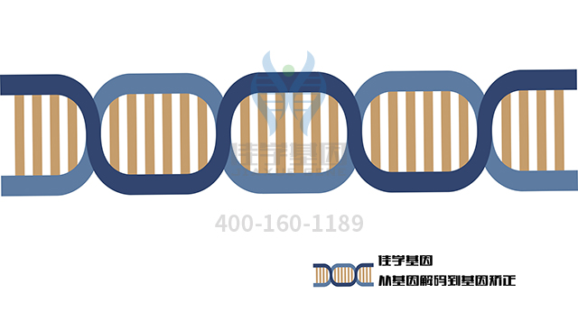 【佳學基因檢測】辨距不良基因解碼、<a href=http://jinzhounet.cn/tk/jiema/cexujishu/2021/31933.html>基因檢測</a>報告看得懂嗎?