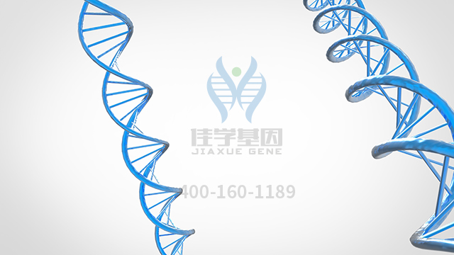 【佳學(xué)基因檢測(cè)】做致心律失常性<font color='red'>右室</font>發(fā)育不良基因解碼、基因檢測(cè)方便嗎？