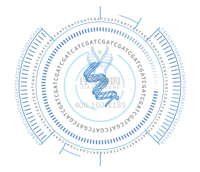 【佳學(xué)基因檢測】做Bj?rnstad綜合征基因解碼、<a  data-cke-saved-href=http://jinzhounet.cn/tk/jiema/cexujishu/2021/31933.html href=http://jinzhounet.cn/tk/jiema/cexujishu/2021/31933.html>基因檢測</a>方便嗎？