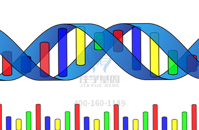 【佳學(xué)基因檢測(cè)】什么人要做DOLK先天性糖基化病基因解碼、<a  data-cke-saved-href=http://jinzhounet.cn/tk/jiema/cexujishu/2021/31933.html href=http://jinzhounet.cn/tk/jiema/cexujishu/2021/31933.html>基因檢測(cè)</a>？