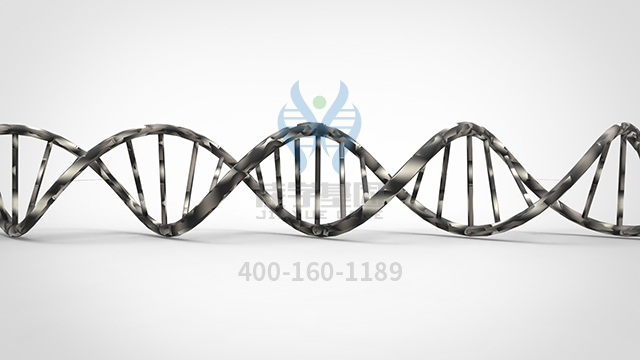 <b>【佳學基因檢測】瞼裂狹小綜合征1型基因解碼、基因檢測的報告有人解讀嗎？</b>