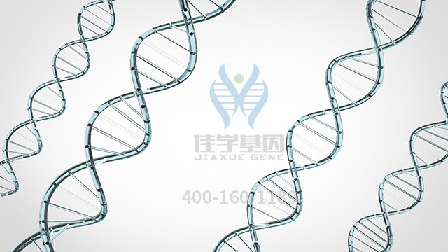 【佳學(xué)基因檢測】做丙型球蛋白血癥非布魯頓型基因解碼、<a  data-cke-saved-href=http://jinzhounet.cn/tk/jiema/cexujishu/2021/31933.html href=http://jinzhounet.cn/tk/jiema/cexujishu/2021/31933.html>基因檢測</a>采用什么樣品？