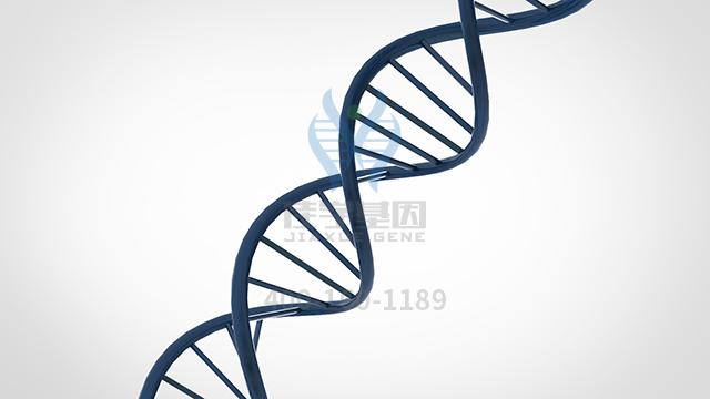 【佳學(xué)基因檢測】<font color='red'><font color='red'>Chanarin-Dorfman</font></font>基因解碼、基因檢測的報告有人解讀嗎？
