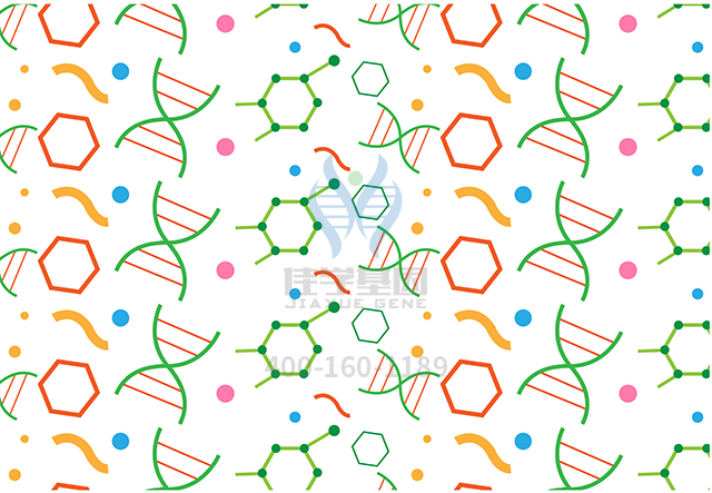【佳學(xué)基因檢測(cè)】什么人要做先天性心臟缺陷多種類型4型基因解碼、<a href=http://jinzhounet.cn/tk/jiema/cexujishu/2021/31933.html>基因檢測(cè)</a>？
