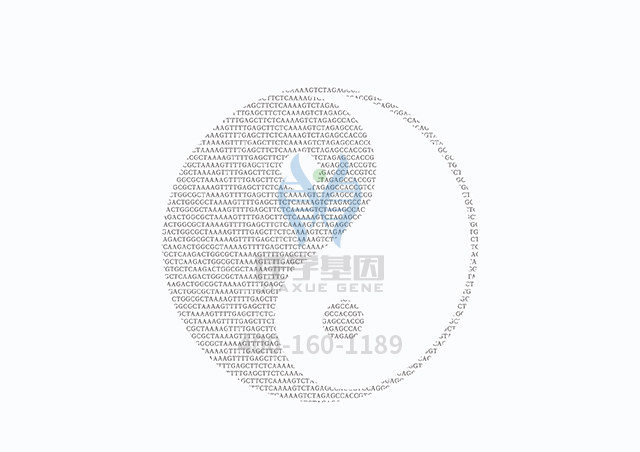 【佳學(xué)基因檢測(cè)】做網(wǎng)狀色素皮病基因解碼、<a  data-cke-saved-href=http://jinzhounet.cn/tk/jiema/cexujishu/2021/31933.html href=http://jinzhounet.cn/tk/jiema/cexujishu/2021/31933.html>基因檢測(cè)</a>需要多長時(shí)間？