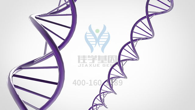 【佳學(xué)基因檢測(cè)】生精障礙Y連鎖2型基因解碼、<a href=http://jinzhounet.cn/tk/jiema/cexujishu/2021/31933.html>基因檢測(cè)</a>的報(bào)告看得懂嗎？