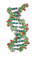 【佳學基因檢測】眼皮膚白化病4型基因解碼、<a href=http://jinzhounet.cn/tk/jiema/cexujishu/2021/31933.html>基因檢測</a>的報告有人解讀嗎？