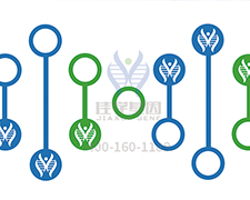 【佳學(xué)基因檢測(cè)】甲苯磺丁脲響應(yīng)基因解碼、<a href=http://jinzhounet.cn/tk/jiema/cexujishu/2021/31933.html>基因檢測(cè)</a>怎么預(yù)約解讀？