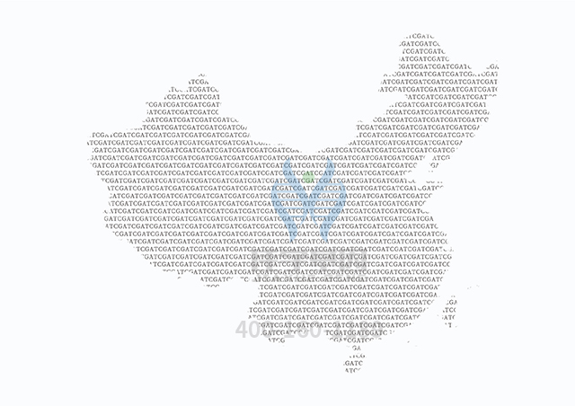 【佳學(xué)基因檢測】什么人要做家族性<font color='red'><font color='red'>乳腺癌</font>-<font color='red'>卵巢癌</font></font>2型基因解碼、基因檢測？