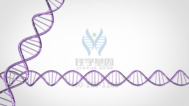 【佳學(xué)基因檢測(cè)】做乳房和/或乳頭發(fā)育不良或發(fā)育不全2基因解碼、<a href=http://jinzhounet.cn/tk/jiema/cexujishu/2021/31933.html>基因檢測(cè)</a>的費(fèi)用是多少？