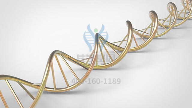 【佳學(xué)基因檢測】做先天性短腸綜合征X連鎖基因解碼、<a href=http://jinzhounet.cn/tk/jiema/cexujishu/2021/31933.html>基因檢測</a>的費用是多少？