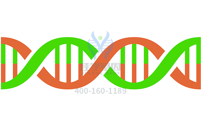 【佳學基因檢測】做全身毛發(fā)缺失癥基因解碼、<a href=http://jinzhounet.cn/tk/jiema/cexujishu/2021/31933.html>基因檢測</a>的費用是多少？