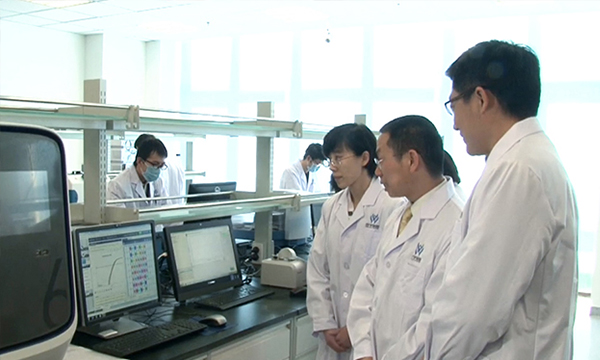 【佳學(xué)基因檢測】α-2-巨球蛋白缺乏癥基因解碼、<a href=http://jinzhounet.cn/tk/jiema/cexujishu/2021/31933.html>基因檢測</a>可以只做<a href=http://jinzhounet.cn/tk/jiema/cexujishu/2021/31933.html>基因檢測</a>嗎？