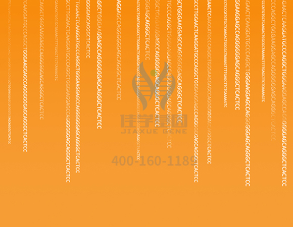 【佳學(xué)基因解碼-<a href=http://jinzhounet.cn/tk/jiema/cexujishu/2021/31933.html>基因檢測</a>】這些舉動竟讓<font color='red'>脫發(fā)</font>的女孩們重拾自信！