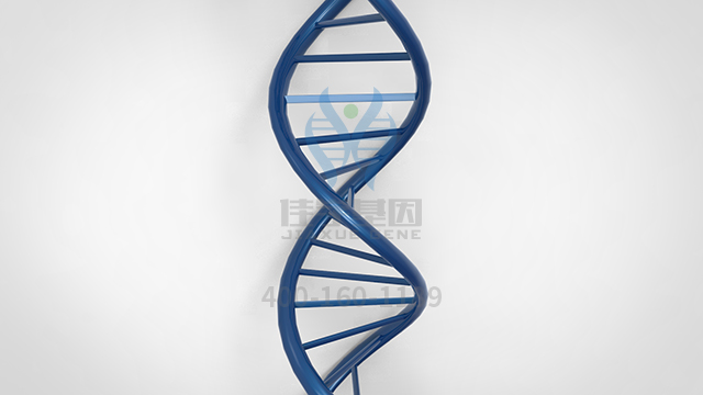 【佳學(xué)基因檢測】做頭皮<font color='red'>脫發(fā)</font>基因解碼、<a href=http://jinzhounet.cn/tk/jiema/cexujishu/2021/31933.html>基因檢測</a>需要多少錢？
