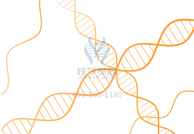 【佳學(xué)基因檢測】做<font color='red'>耳聾</font>先天性心臟缺陷有后胚胎環(huán)基因解碼、<a href=http://jinzhounet.cn/tk/jiema/cexujishu/2021/31933.html>基因檢測</a>需要到總部嗎？