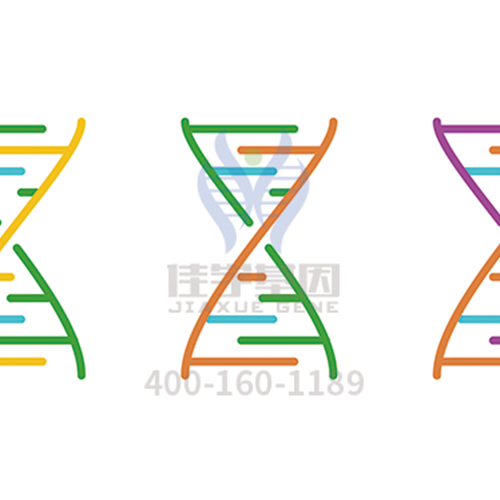 【眼科遺傳病】<font color='red'>BEST</font>病基因解碼、<a href=http://jinzhounet.cn/tk/jiema/cexujishu/2021/31933.html>基因檢測</a>