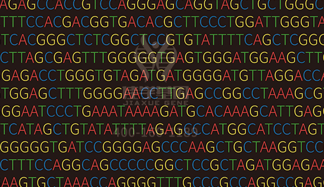 <b>【佳學基因檢測】CTSLP2疾病篩查突變是否需要再檢測一次</b>