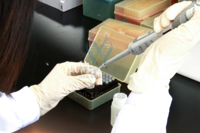<b>【佳學(xué)基因檢測】全基因測序CYP19A1疾病篩查有意義未明突變，我該怎么辦？</b>