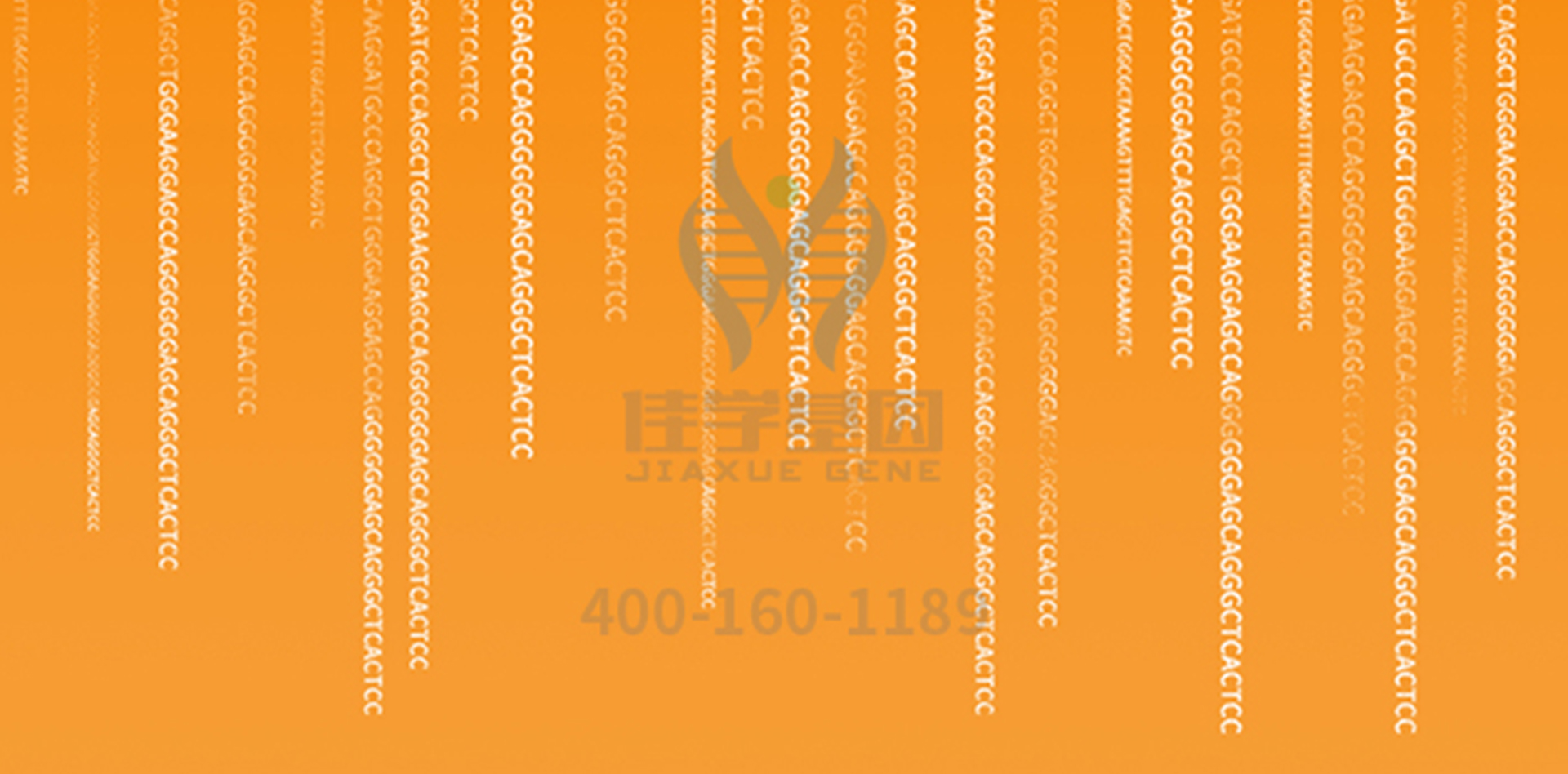 <b>【佳學(xué)基因檢測】解密DKC1基因檢測結(jié)果，如何指導(dǎo)一個的健康？</b>
