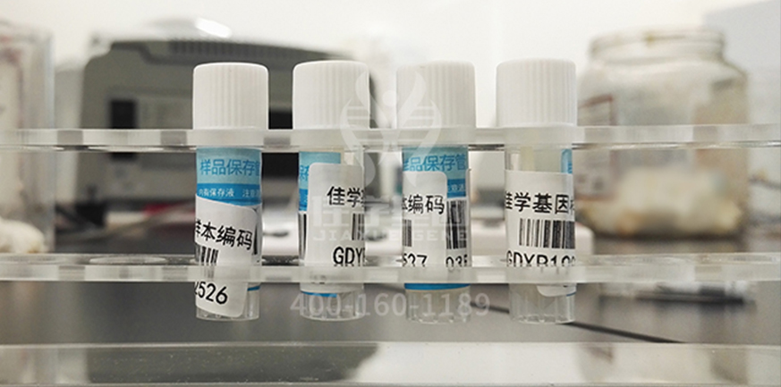 【佳學(xué)基因-基因檢測】吸血鬼真的存在？基因解碼：只是基因突變在作怪