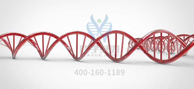 【佳學(xué)基因-基因檢測(cè)】嬰兒時(shí)就開(kāi)始捏寶寶的鼻梁，聽(tīng)說(shuō)這樣的鼻梁會(huì)挺是真