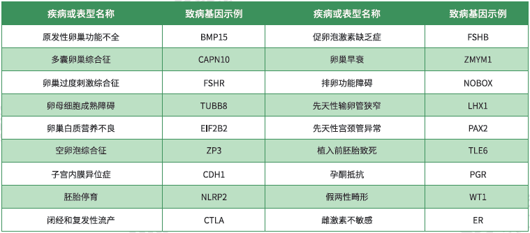 <b>【佳學(xué)基因檢測(cè)】藥房主任如何詢問(wèn)關(guān)于ELK4的突變檢測(cè)知識(shí)</b>