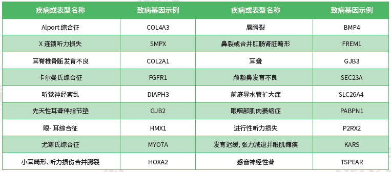 <b>【佳學(xué)基因檢測】男性生殖科遺傳測試資質(zhì)考核中關(guān)于ERF的問題及答案</b>